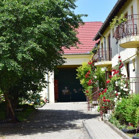 Pension Greenhouse Sibiu Buitenkant foto