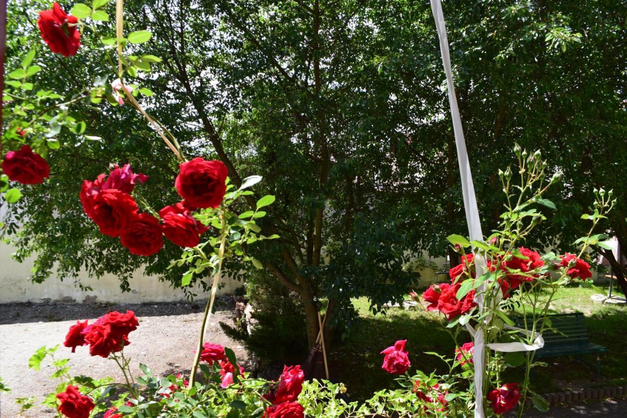 Pension Greenhouse Sibiu Buitenkant foto