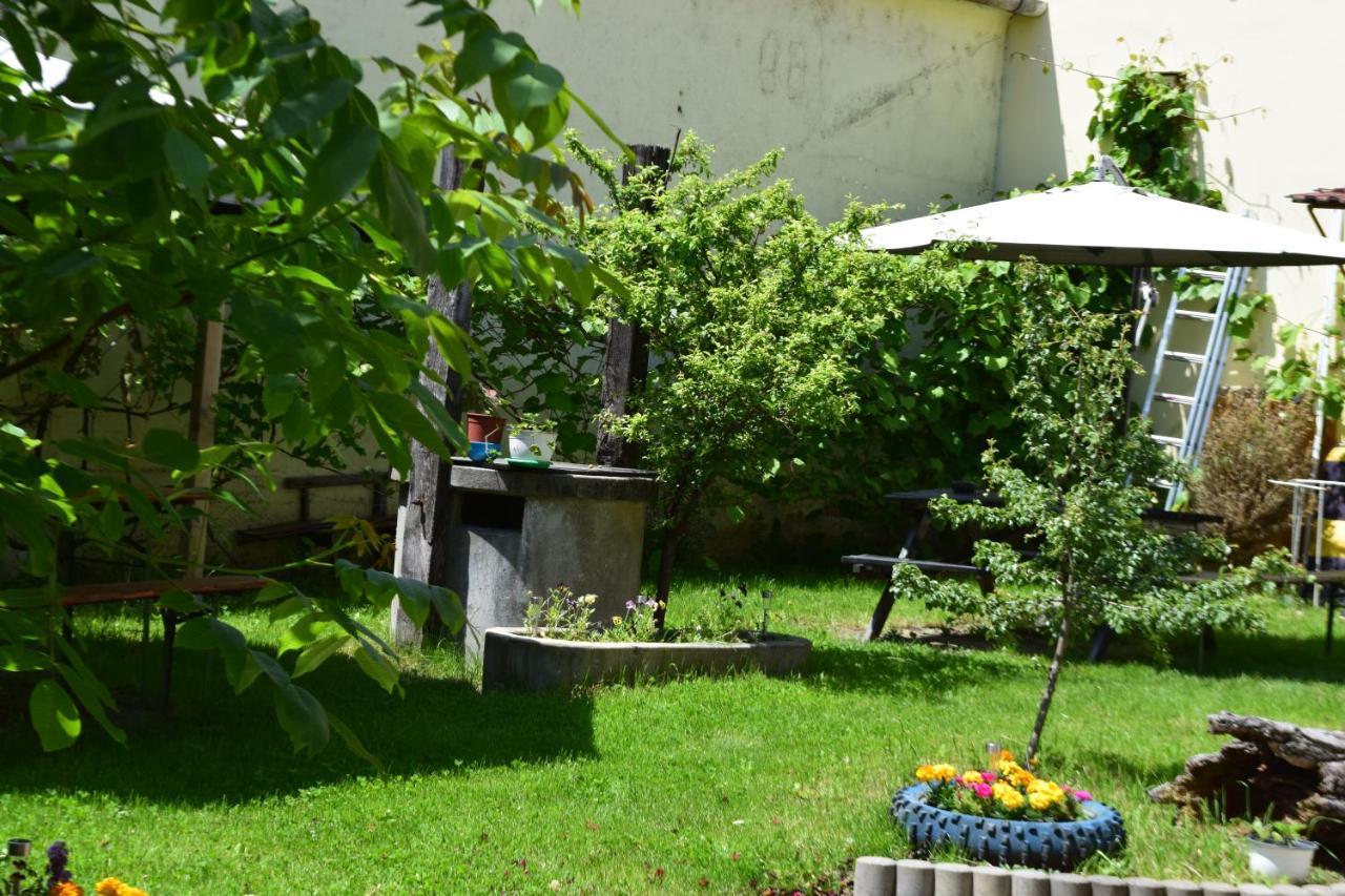 Pension Greenhouse Sibiu Buitenkant foto